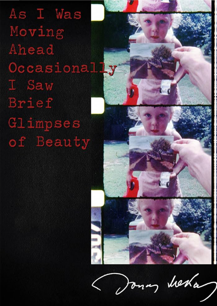 As I was moving ahead I saw brief glimpses of beauty